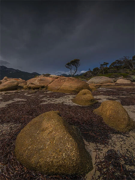 Coastal light Strzelecki National park, Flinders Island, Bass Strait, Tasmania