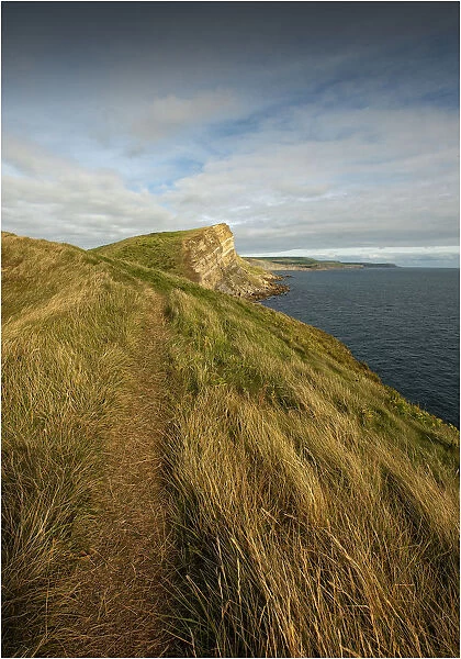 The coastal path at Worbarrow Bay, Dorset, England
