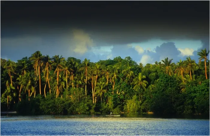 Framed Print : Coastal rainforest, Erakor lagoon, Island of Efate, Vanuatu