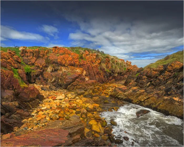 Framed Print : A coastal scene in the Tarkine Wilderness, West coastline of Tasmania, Australia Framed Print : A coastal scene in the Tarkine Wilderness, West coastline of Tasmania, Australia