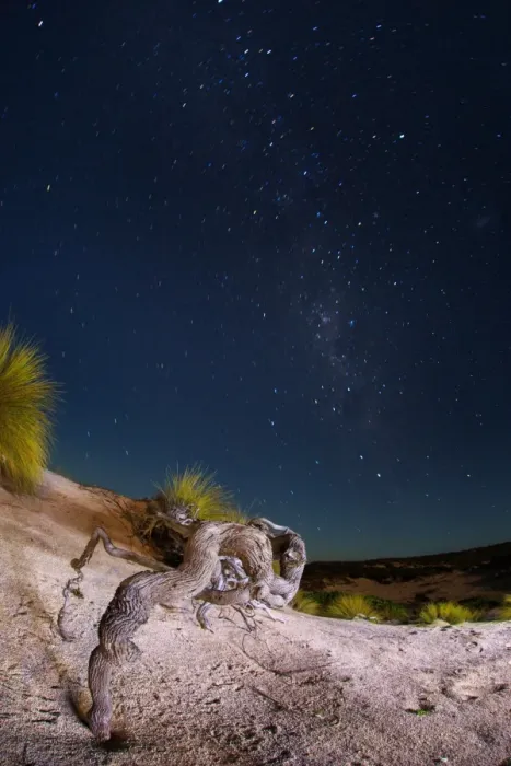 Framed Print : Coastal South Australia at night