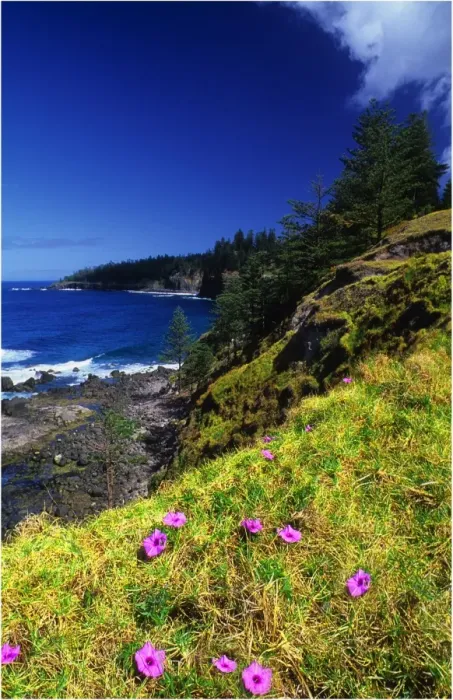 Framed Print : Coastal view