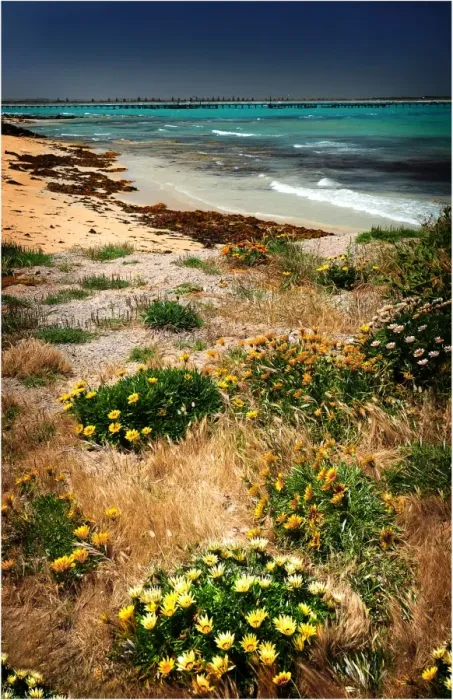 Framed Print : Coastal view at Beachport, A small fishing community in South Australia Framed Print : Coastal view at Beachport, A small fishing community in South Australia