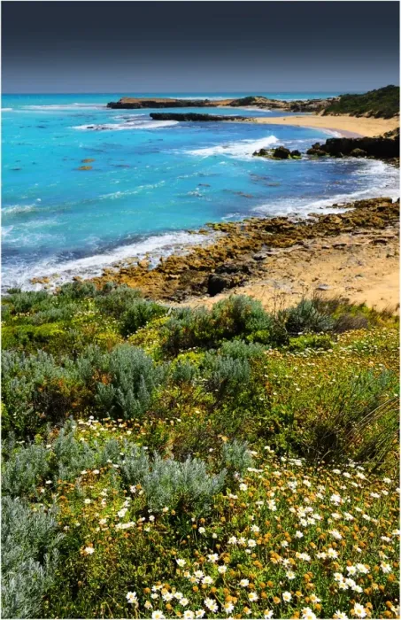 Framed Print : Coastal view at Beachport, A small fishing community in South Australia