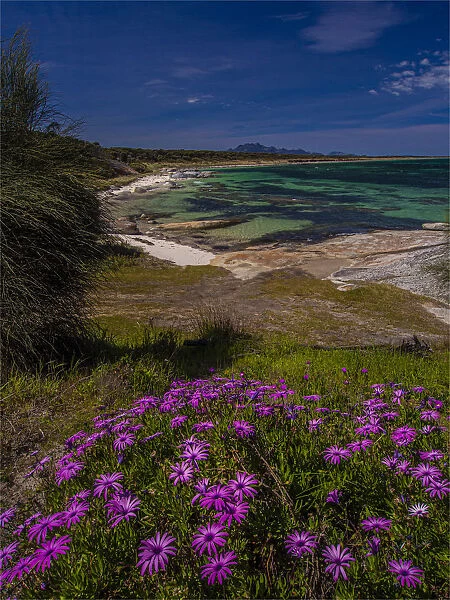 Coastal view at Blue Rocks, Flinders Island, Bass Straight, Tasmania