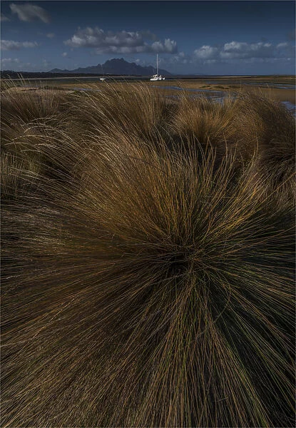 Coastal view at the Bluff, west coastline of Flinders Island, Bass Strait, Tasmania, Australia