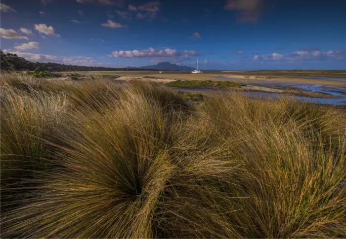 Framed Print : Coastal view at the Bluff, west coastline of Flinders Island, Bass Strait, Tasmania, Australia