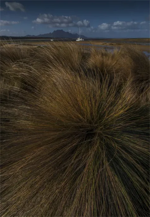 Framed Print : Coastal view at the Bluff, west coastline of Flinders Island, Bass Strait, Tasmania, Australia Framed Print : Coastal view at the Bluff, west coastline of Flinders Island, Bass Strait, Tasmania, Australia