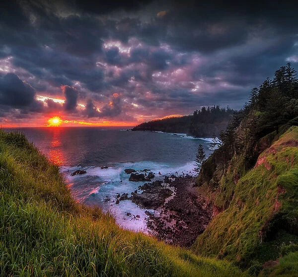 A coastal view of cliffs and Pines, Norfolk Island, Australia, Southern South Pacific