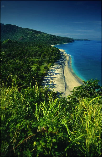 Coastal view and coconut palms, Island of Lombok, Indonesia