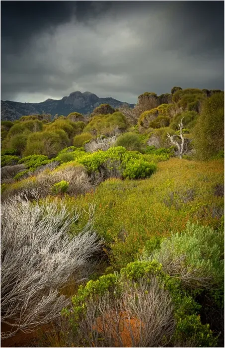 Framed Print : Coastal view to Mount Strzelecki, Flinders Island Tasmania