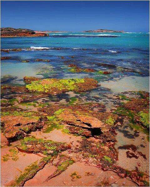 Coastal view near Beachport, A small fishing community in South Australia