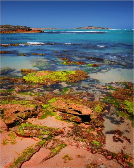 Framed Print : Coastal view near Beachport, A small fishing community in South Australia Framed Print : Coastal view near Beachport, A small fishing community in South Australia