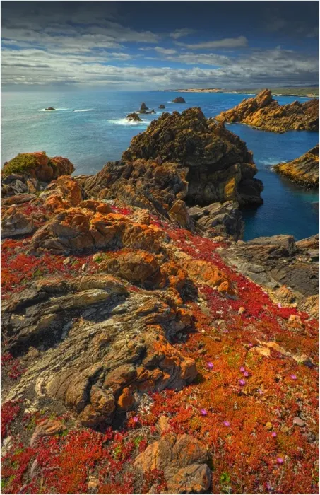 Framed Print : A coastal view in the Tarkine wilderness area of Tasmania, Australia Framed Print : A coastal view in the Tarkine wilderness area of Tasmania, Australia