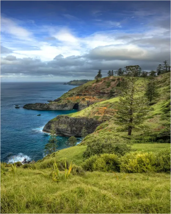 Framed Print : A coastal view from the track to Bird Rock, Norfolk Island Framed Print : A coastal view from the track to Bird Rock, Norfolk Island