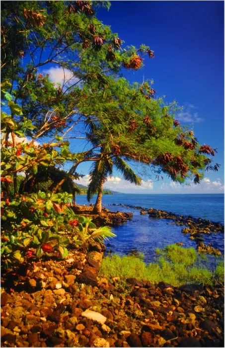 Framed Print : Coastline on The Island of Upolu, Western Samoa Framed Print : Coastline on The Island of Upolu, Western Samoa