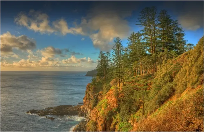 Framed Print : Coastline in the national park, Norfolk Island Framed Print : Coastline in the national park, Norfolk Island