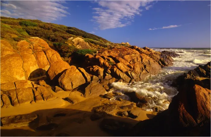 Framed Print : Coastline near Cape Conran, Eastern Victoria, Australia