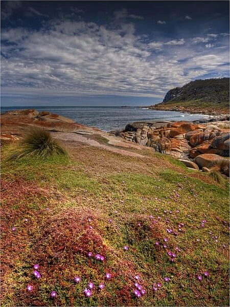 The coastline near Cape Frankland, on the West coast of Flinders Island, Bass Strait, Tasmania