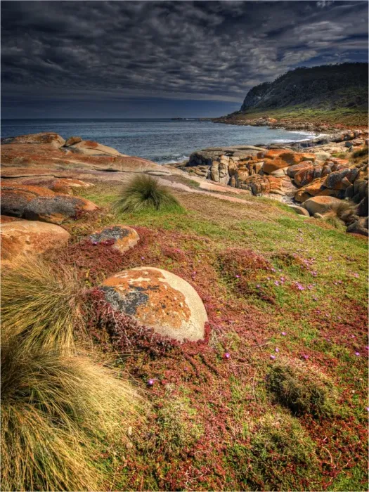 Framed Print : The coastline near Cape Frankland, on the West coast of Flinders Island, Bass Strait, Tasmania Framed Print : The coastline near Cape Frankland, on the West coast of Flinders Island, Bass Strait, Tasmania