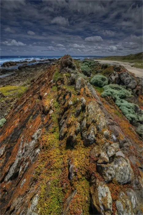 Framed Print : Coastline near the Cataraqui shipwreck