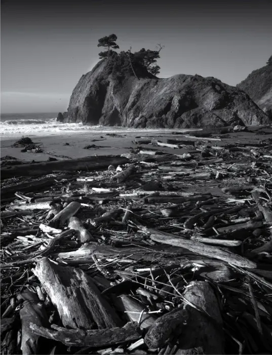 Framed Print : Coastline near Port Orford, Oregon, United States Framed Print : Coastline near Port Orford, Oregon, United States
