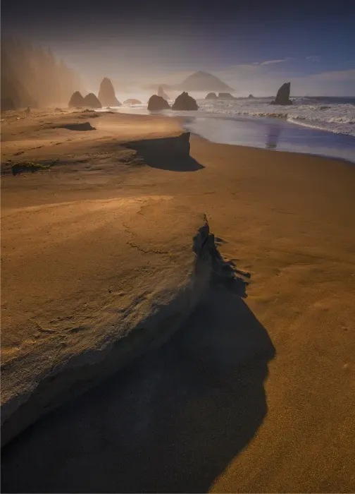 Framed Print : Coastline near Port Orford, Oregon, United States Framed Print : Coastline near Port Orford, Oregon, United States