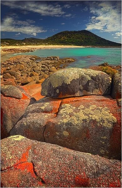 Coastline near Sawyers bay in an area called Lillies beach, which has beautiful lichen coloured boulders, Flinders Island, Bass Strait, Tasmania