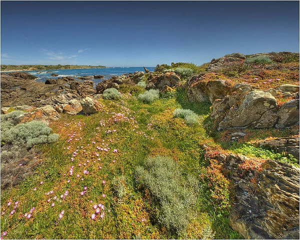 Coastline near Victoria cove in the North West corner of King Island, Bass Strait, Tasmania