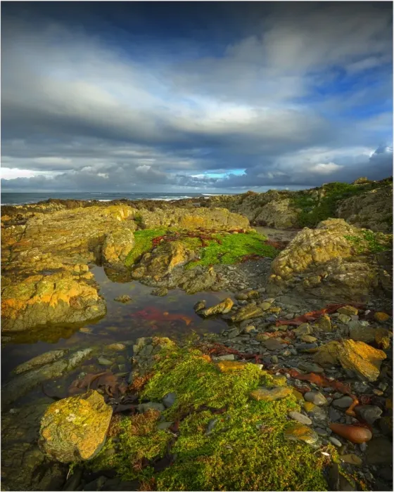 Framed Print : Coastline near Victoria cove in the North West corner of King Island, Bass Strait, Tasmania Framed Print : Coastline near Victoria cove in the North West corner of King Island, Bass Strait, Tasmania