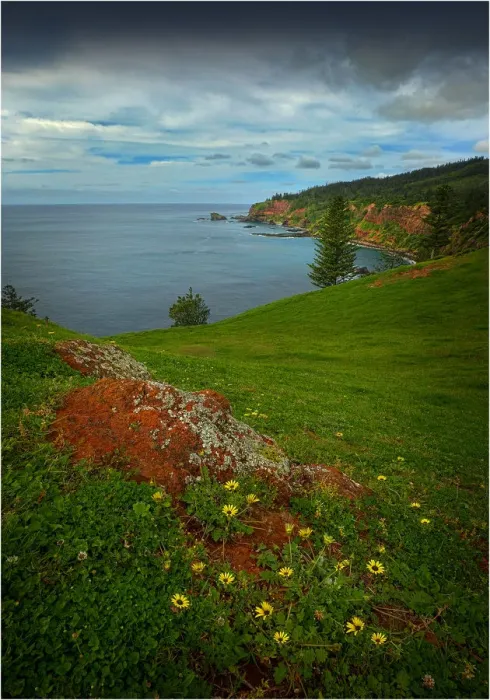 Framed Print : Coastline view near cape howe