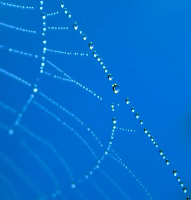 Framed Print : A cobweb covered in morning dew creating an abstract image Framed Print : A cobweb covered in morning dew creating an abstract image