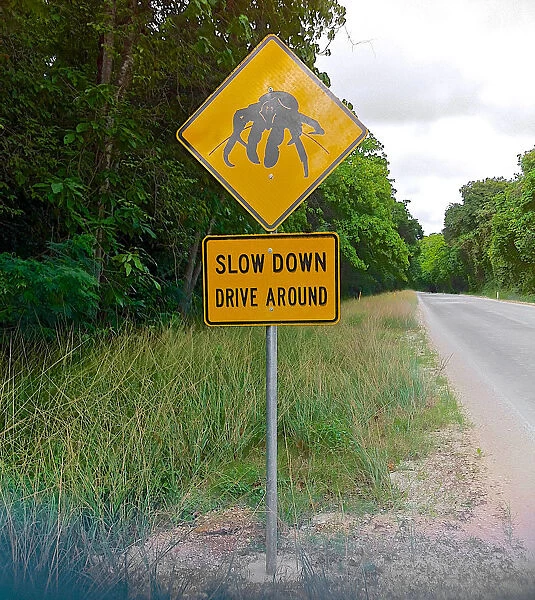 Coconut Crab Road Sign | Christmas Island