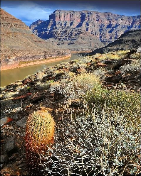 The Colorado river, Arizona, United States of America