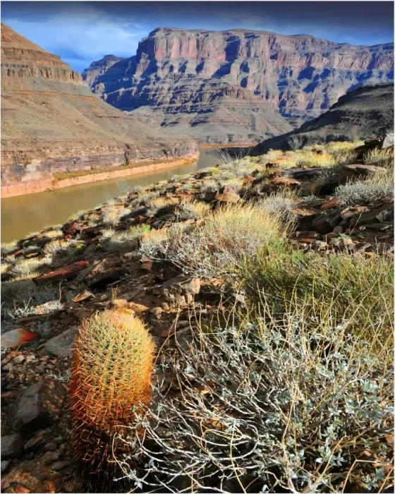 Framed Print : The Colorado river, Arizona, United States of America Framed Print : The Colorado river, Arizona, United States of America