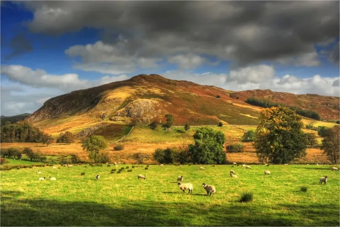 Framed Print : The colors of Grassmere