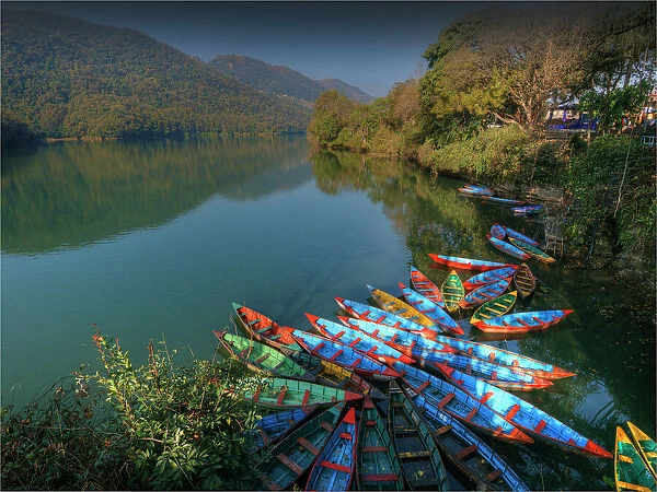 Colourful hire boats tied up on the shoreline of Lake Pokhara, Nepal