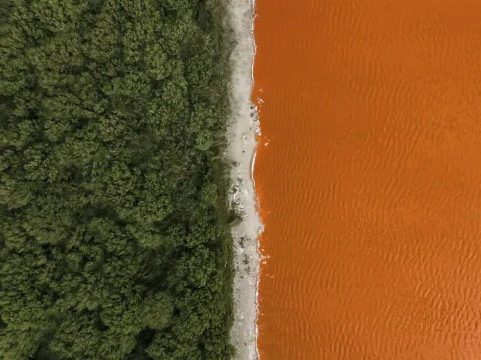 Framed Print : Composed drone image showing the edge of a forest and an orange coloured salt lake, South Australia, Australia