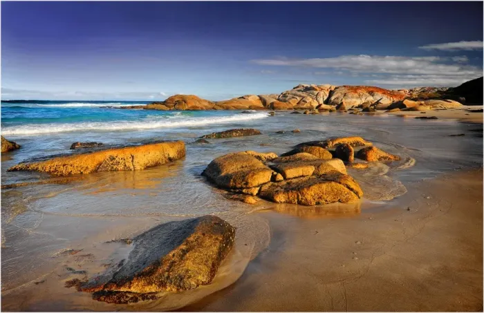 Framed Print : Conservation area on the coastline near St. Helens, Tasmania, Australia