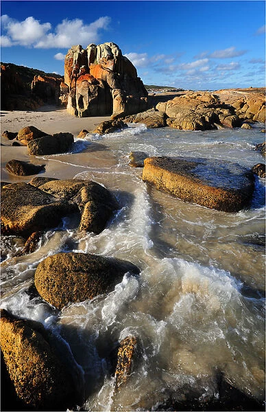 Conservation area on the coastline near St. Helens, Tasmania, Australia