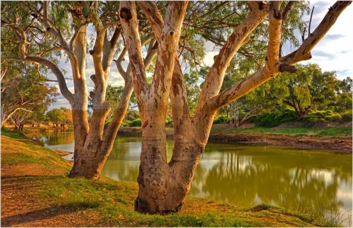 Framed Print : The Cooper Creek in flood during the winter months, in the remote outback near Innamincka, South Australia
