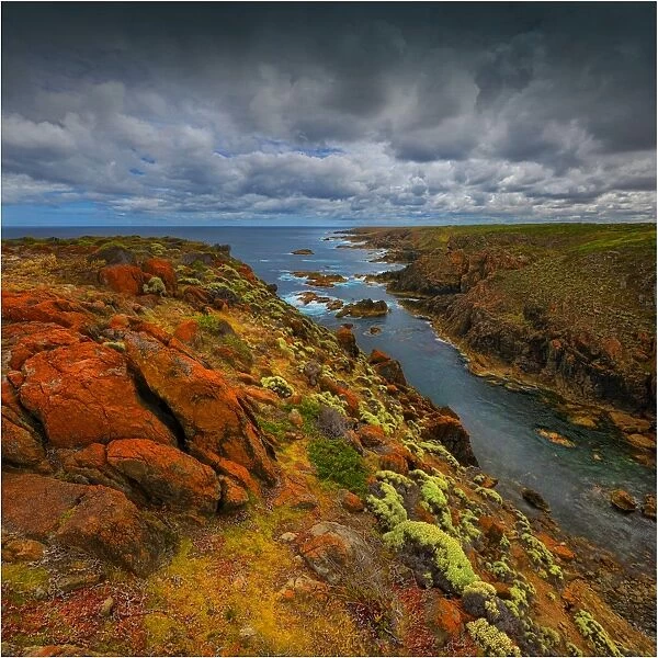 The copperhead cliffs on the South Western corner of King Island are isolated, rugged and extremely steep. Bass Strait, Tasmania