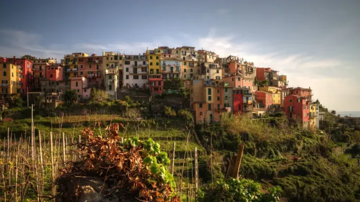 Framed Print : Corniglia colourful old town on cliff sunset view Framed Print : Corniglia colourful old town on cliff sunset view