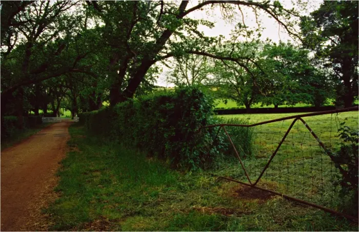 Framed Print : Country laneway near longford, northern Tasmania