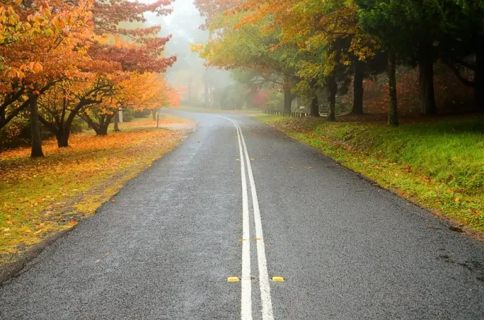 Framed Print : Empty country road in autumn mist Framed Print : Empty country road in autumn mist