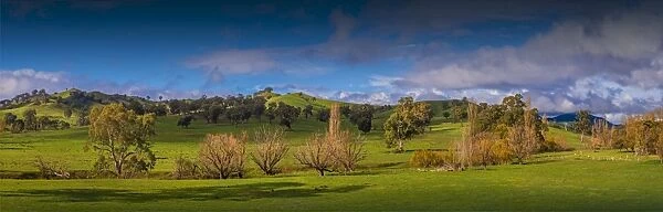 Countryside in Autumn near Bonnie Doon, Central Victoria, Australia