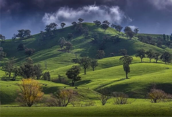 Countryside in Autumn near Bonnie Doon, Central Victoria, Australia