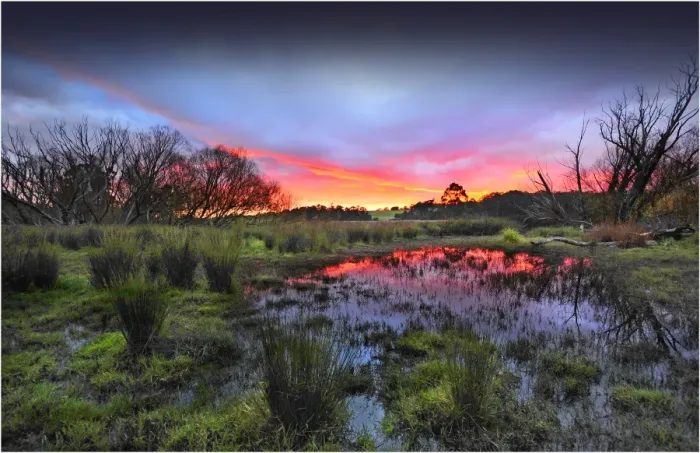 Framed Print : Countryside dawn near Greta West, Victoria