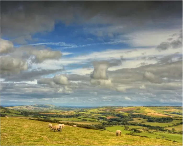 Framed Print : Countryside, Dorset, England Framed Print : Countryside, Dorset, England