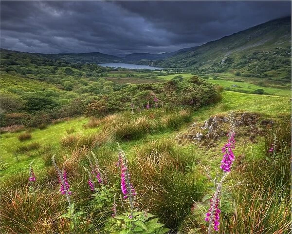 Countryside farming view within the Snowdonia National Park in northern Wales, United Kingdom